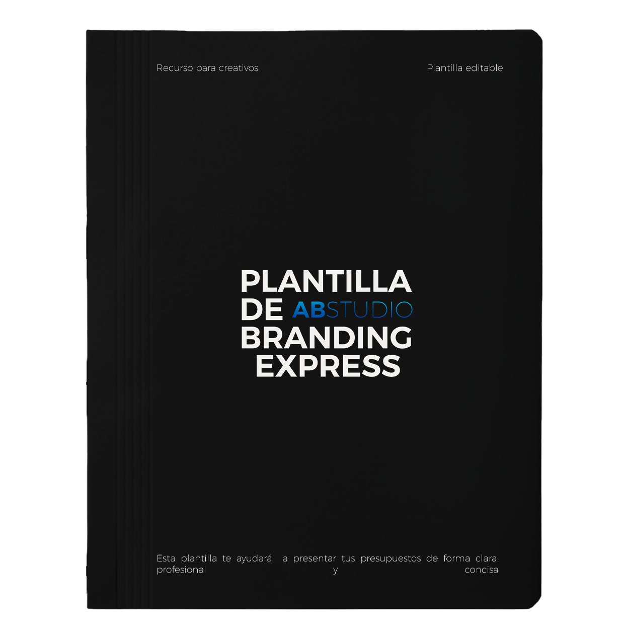 PLANTILLA GUÍA DE BRANDING EXPRESS EDITABLE